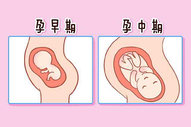 北京哪个医院可以做供卵试管婴儿的