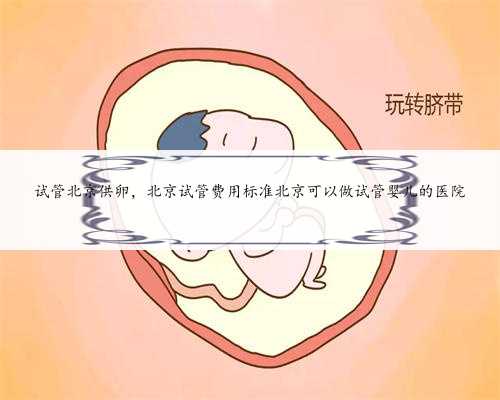 试管北京供卵，北京试管费用标准北京可以做试管婴儿的医院